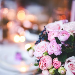 flower-791140_1920