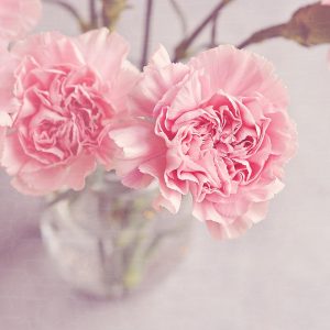 flowers-1313827_1920