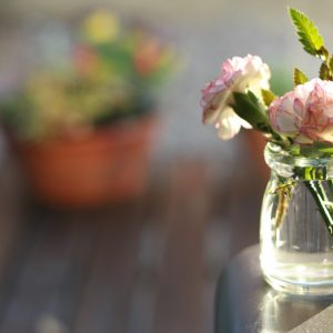 flowers-802998_1920